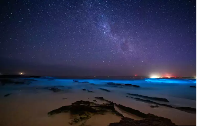 COOLEST NIGHT BEACHES IN INDIA THAT GLOW IN THE DARK!